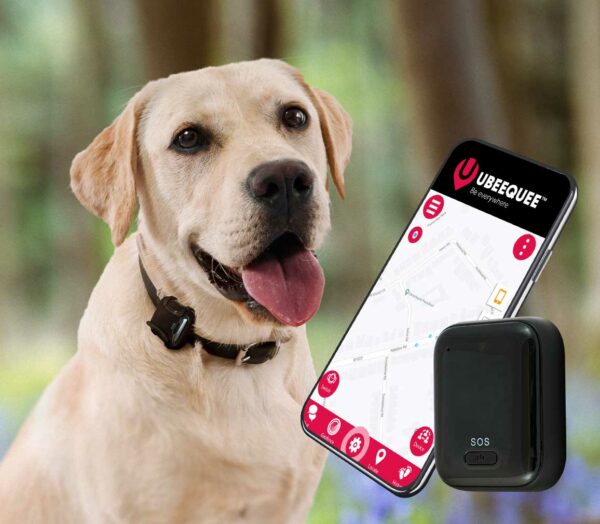 4G dog tracker