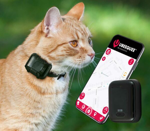 4g cat tracker